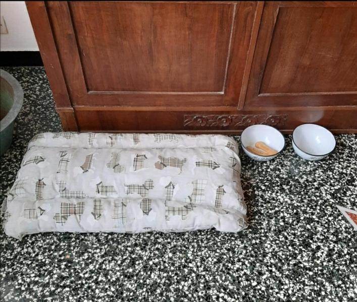 La Tana Dei Conigli Apartman Serra Rocco Kültér fotó