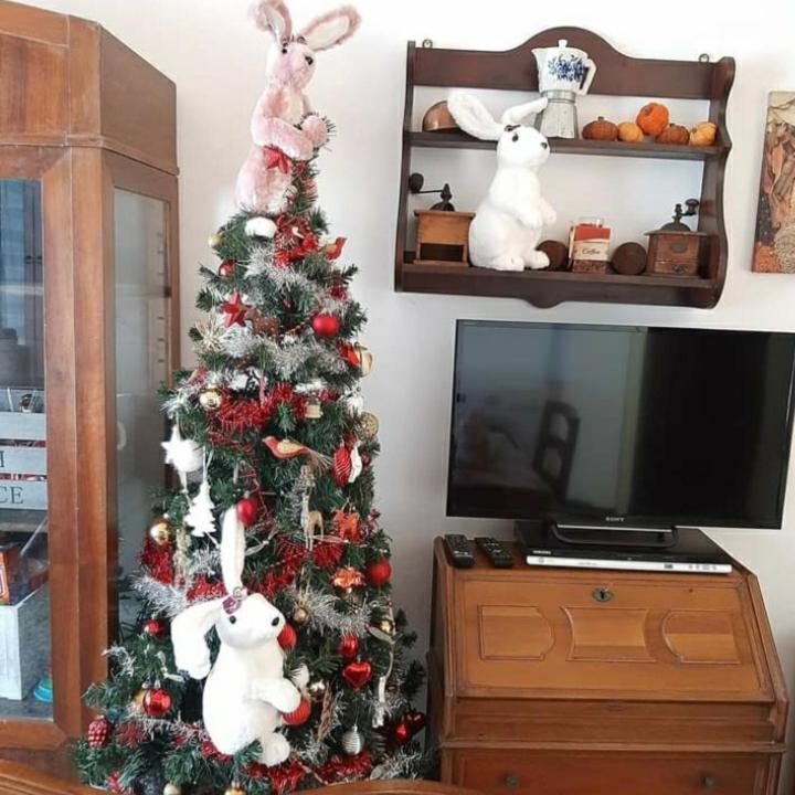 La Tana Dei Conigli Apartman Serra Rocco Kültér fotó